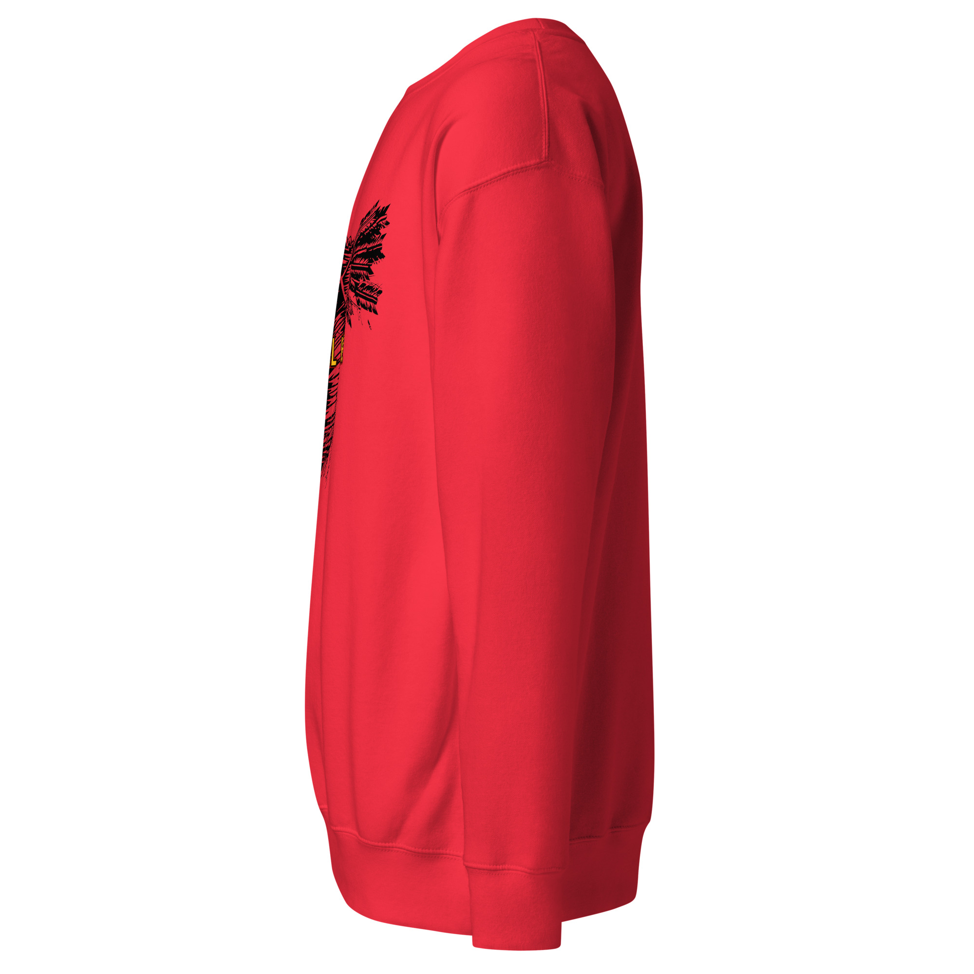 SV ALL IN Sweatshirt - Image 3